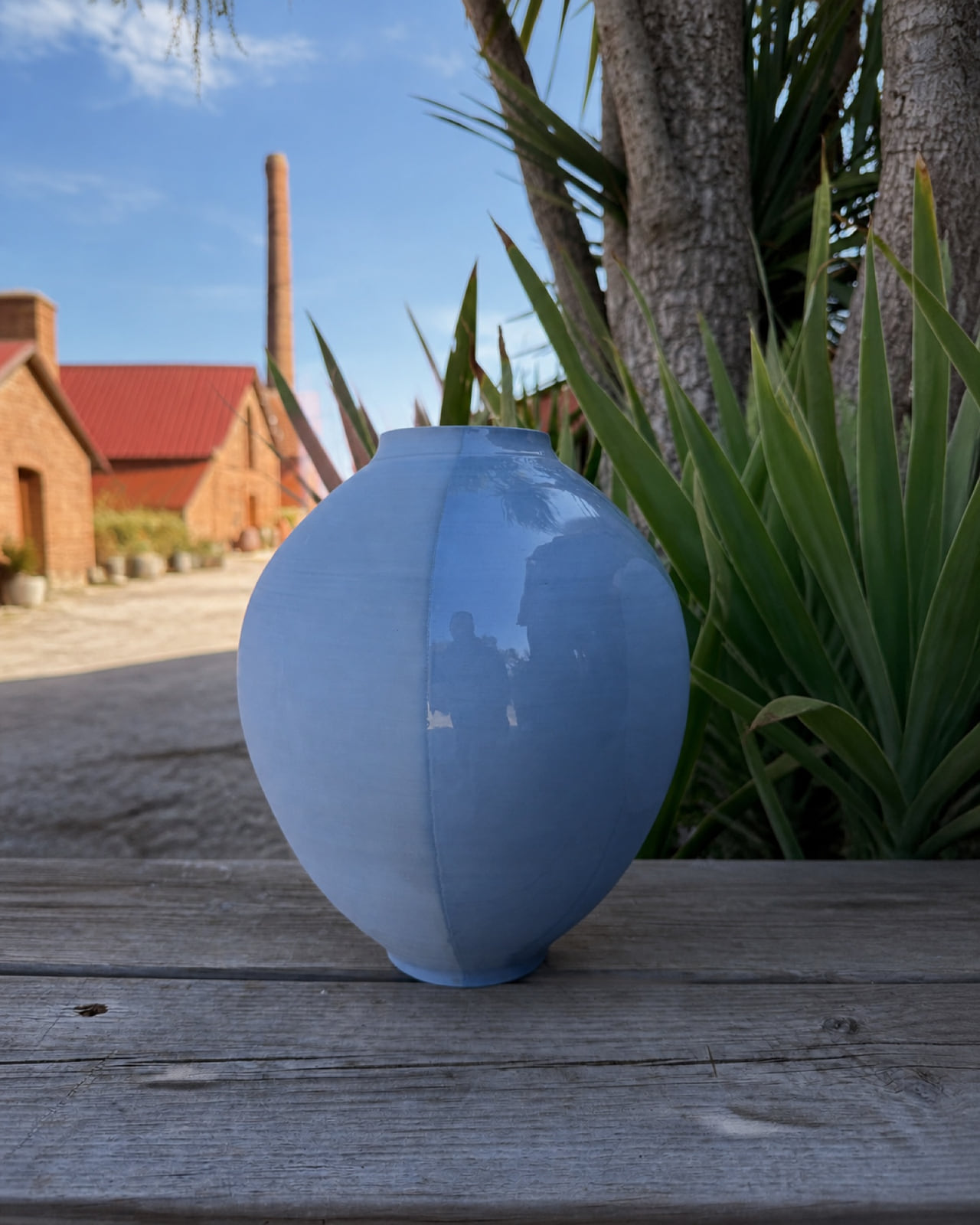 Beck Bleue