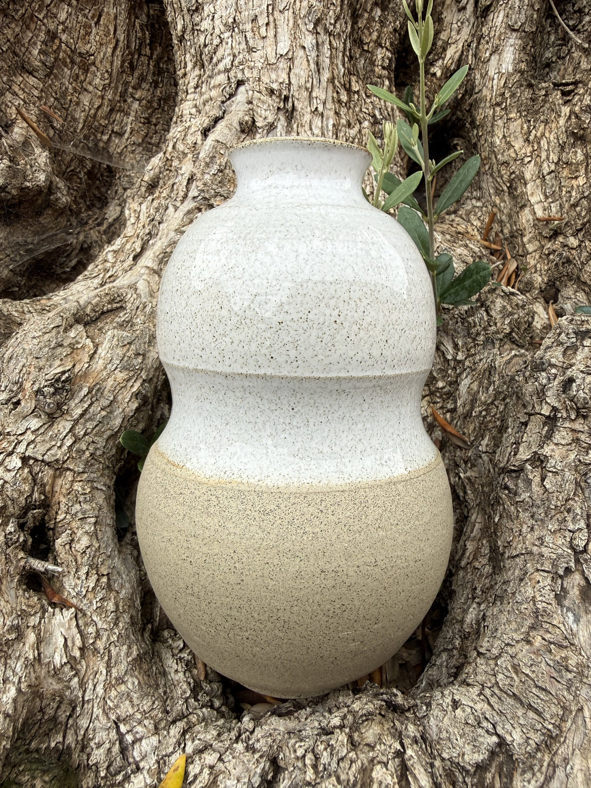 Vase en Grès Blanc Cendré GE221CEN photographié dans un olivier